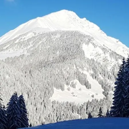D'une A D'abondance A 200 M Des Pistes Avec Jardin La Chapelle-d'Abondance