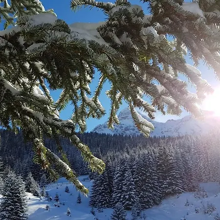 D'une A D'abondance A 200 M Des Pistes Avec Jardin La Chapelle-d'Abondance