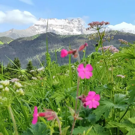 Apartment D'une A D'abondance A 200 M Des Pistes Avec Jardin La Chapelle-d'Abondance
